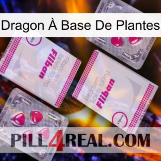 Dragon À Base De Plantes 33